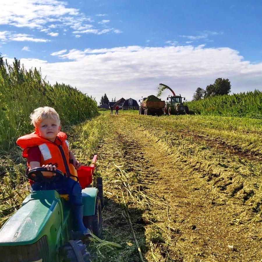 OudewaterRuyge Weyde Logies, Eco Farm公寓 外观 照片