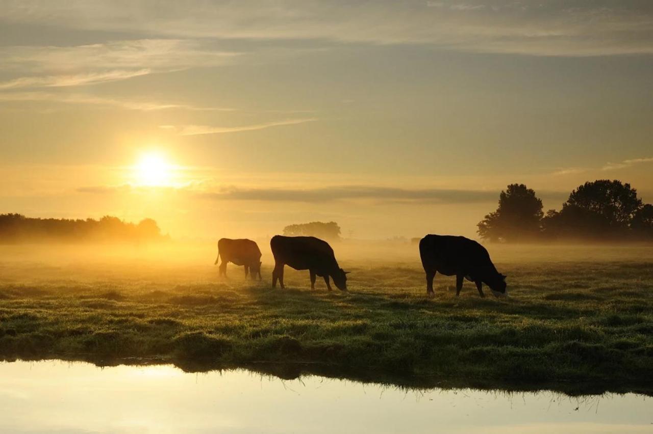 OudewaterRuyge Weyde Logies, Eco Farm公寓 外观 照片